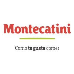 logos_0017_Objeto inteligente vectorial